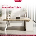 Executive Office Desk BT012-24 (2.4m)